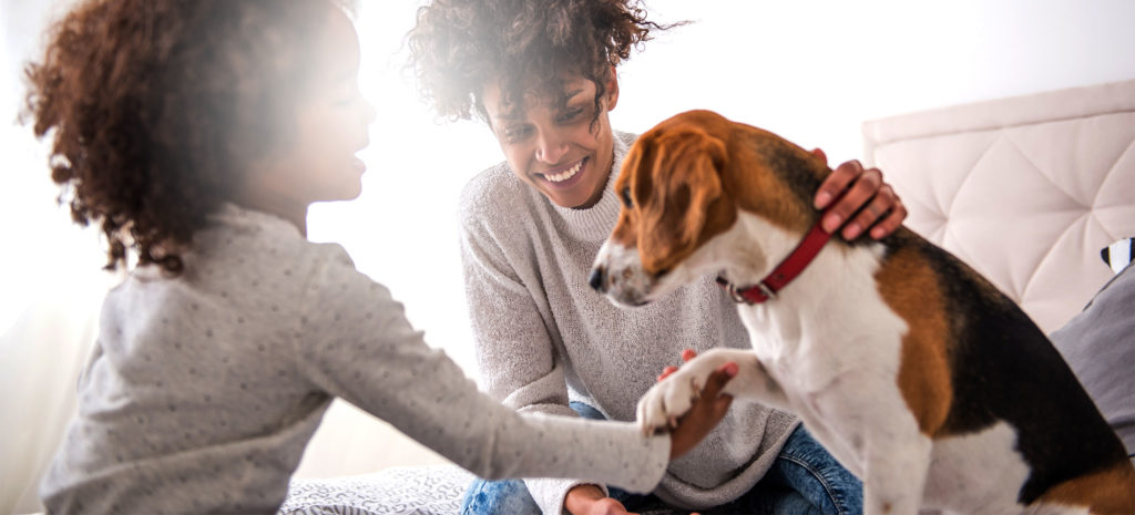 two owners with tri colored dog